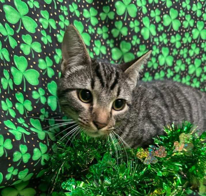 Photo of BIlly