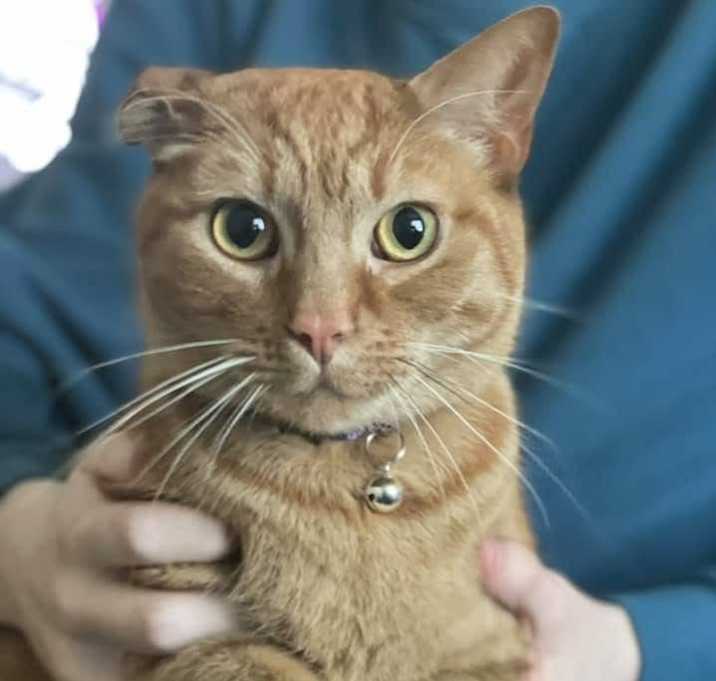 Photo of O’Malley