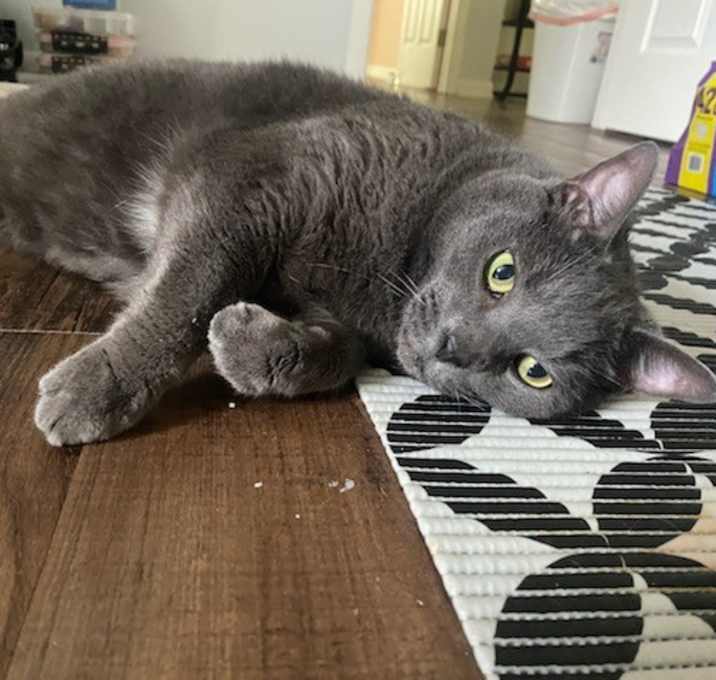 Photo of Jasper