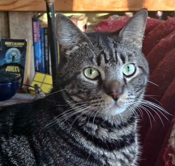 Photo of Chirp