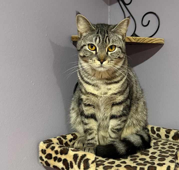 Photo of Sterling