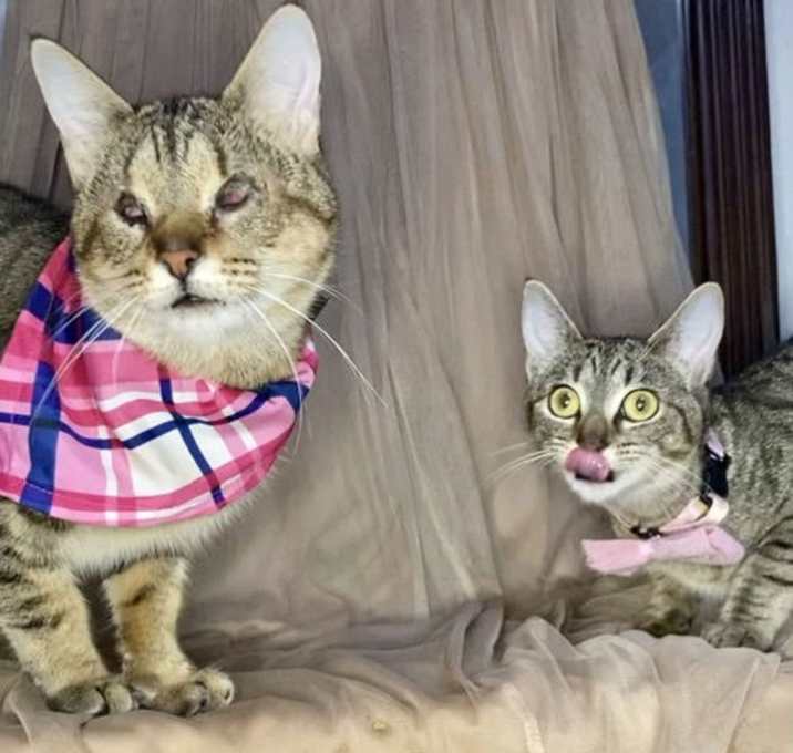 Photo of Missy