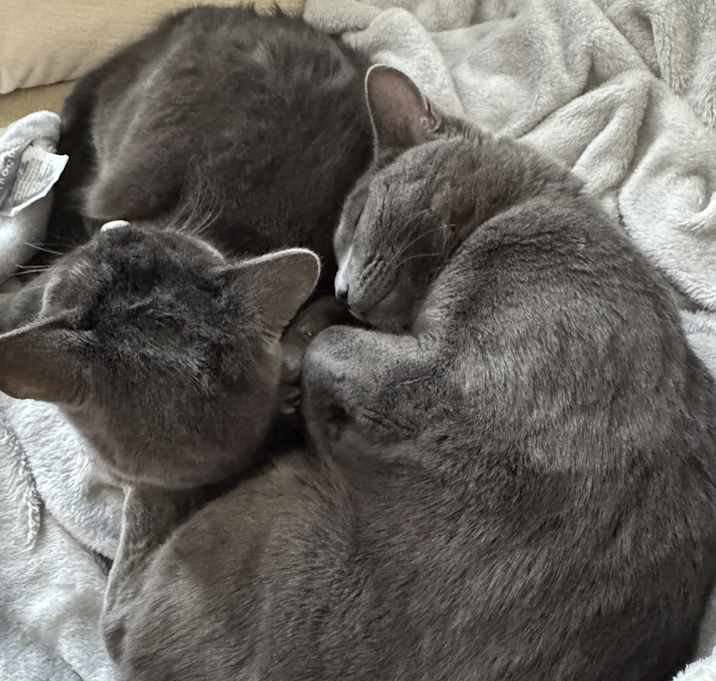 Photo of Lily & Charlie