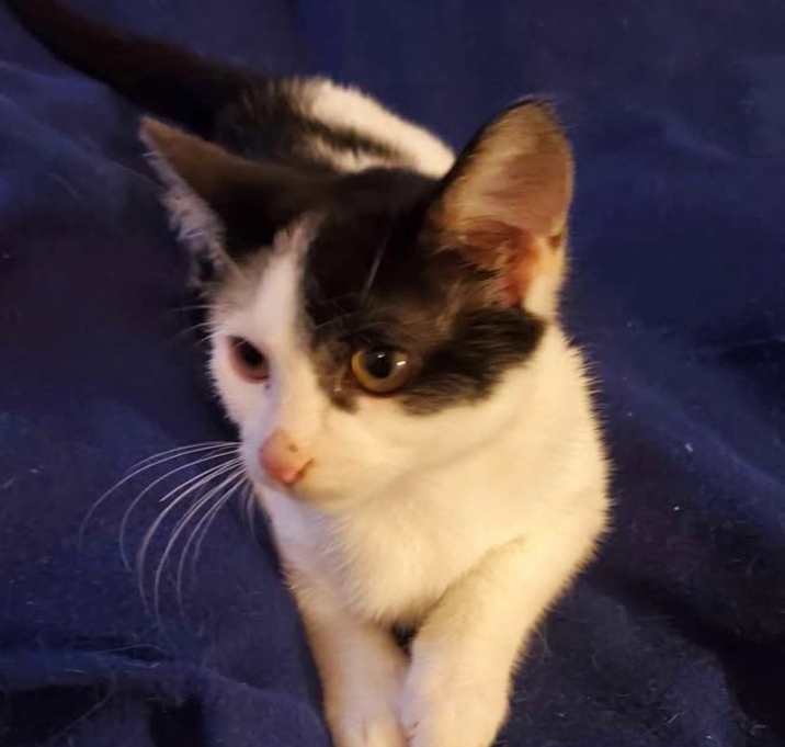 Photo of Maze