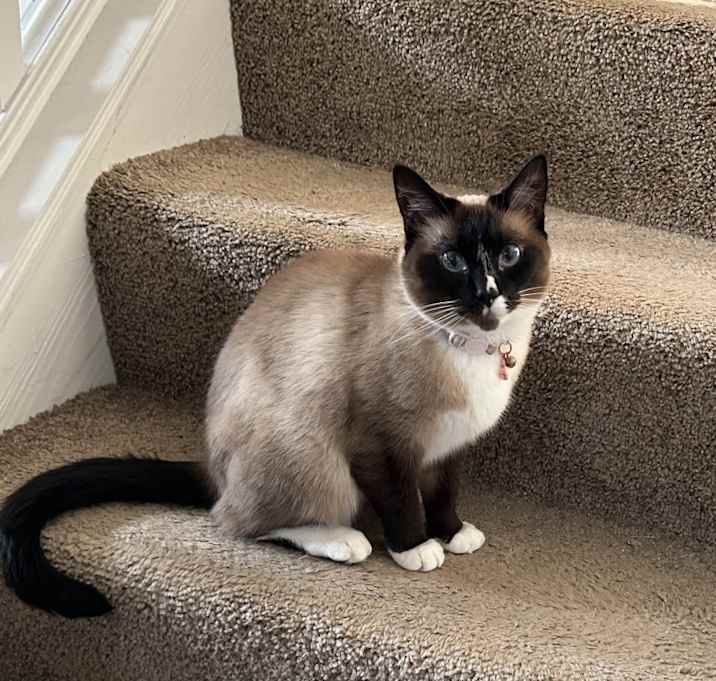 Photo of Freya