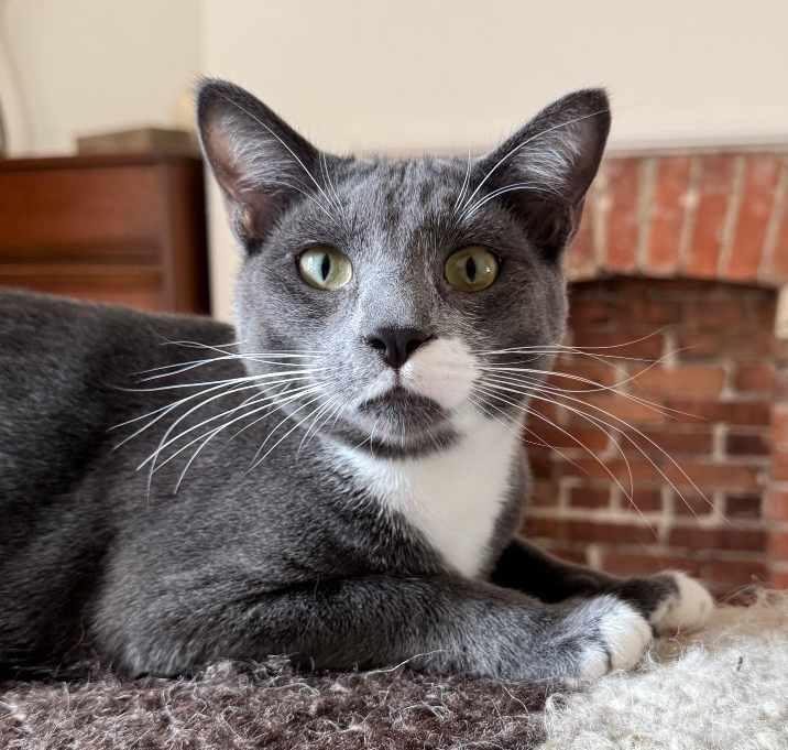 Photo of Arthur