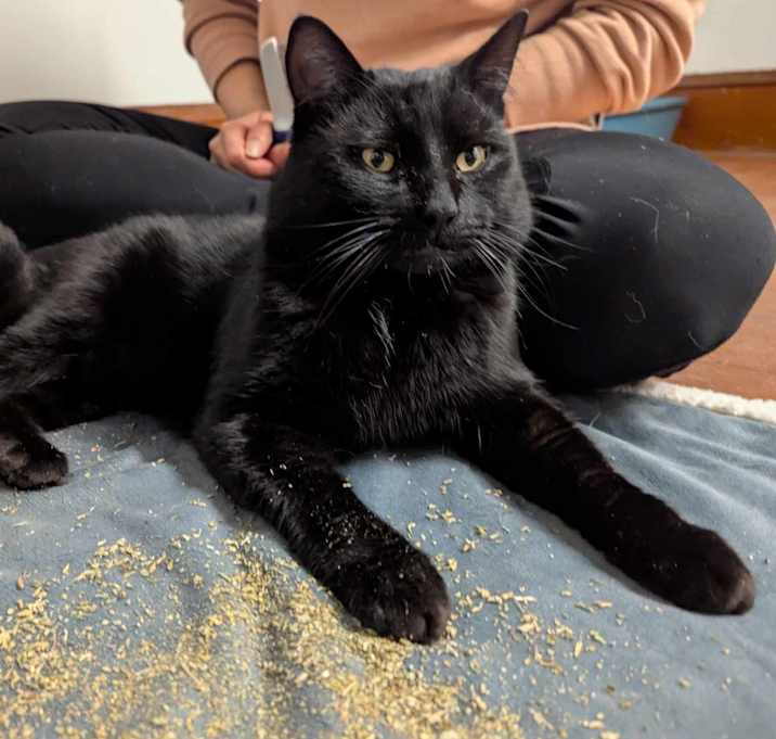 Photo of Beans