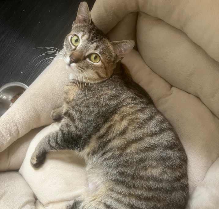 Photo of Fiona