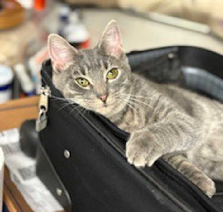 Photo of Amelia