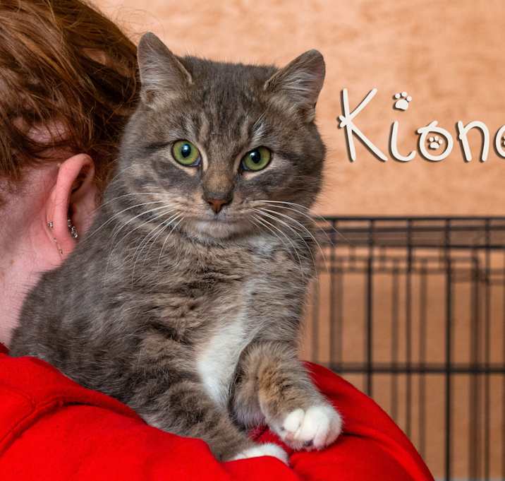 Photo of Kiona