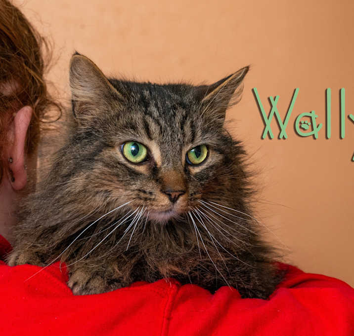 Photo of Wally