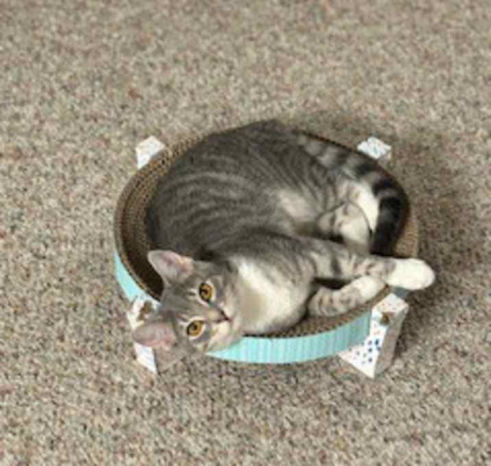 Photo of Charlotte