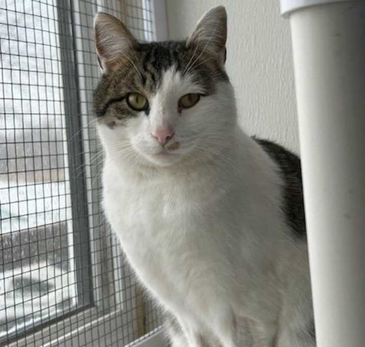 Photo of Jinx