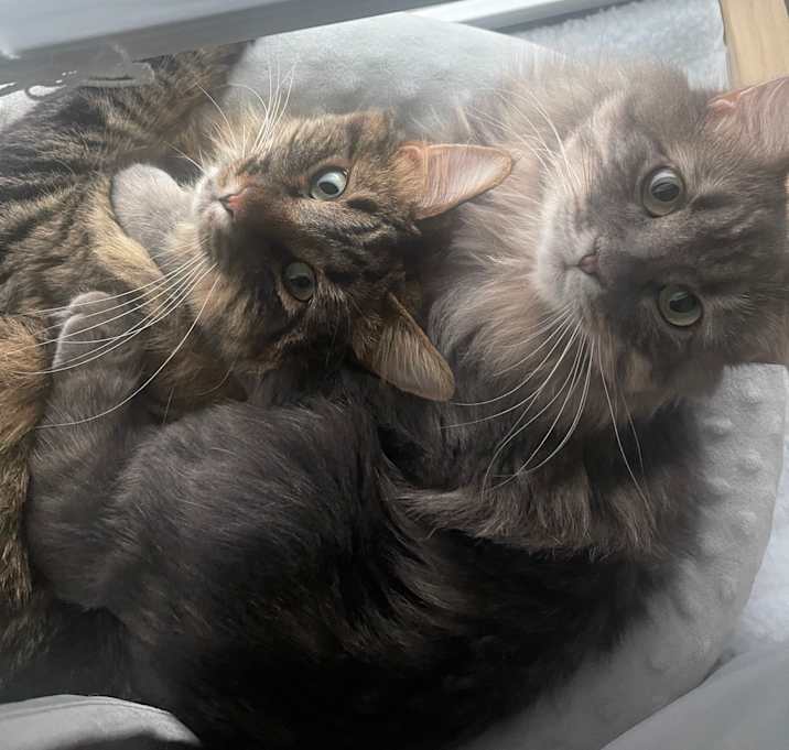 Photo of Winnie&Harley