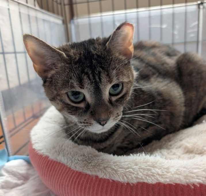 Photo of Penelope