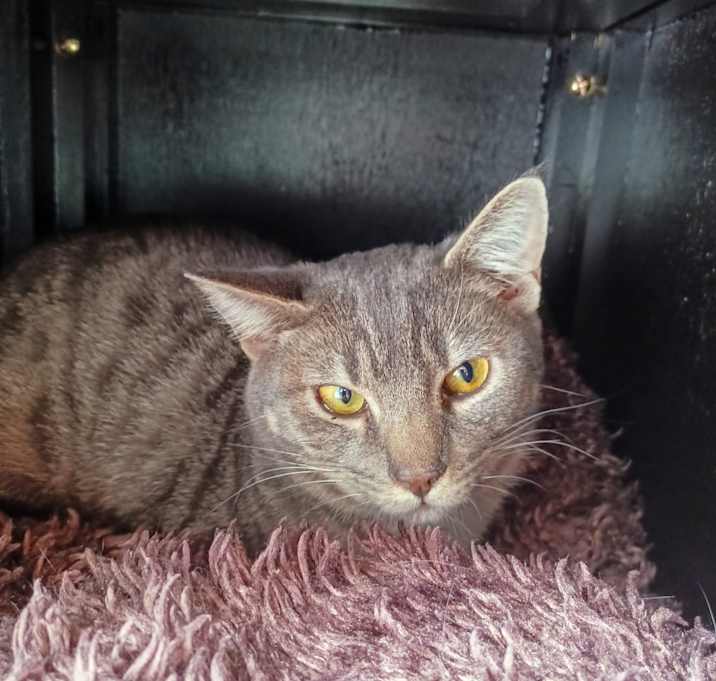 Photo of Stormy