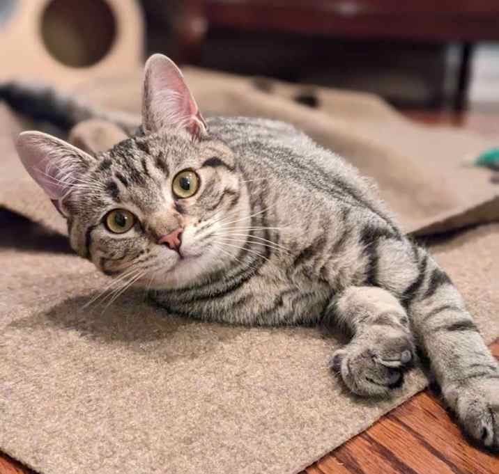 Photo of Charlie