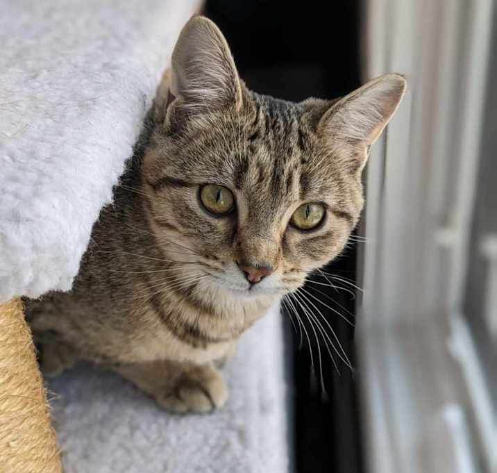 Photo of Mabel