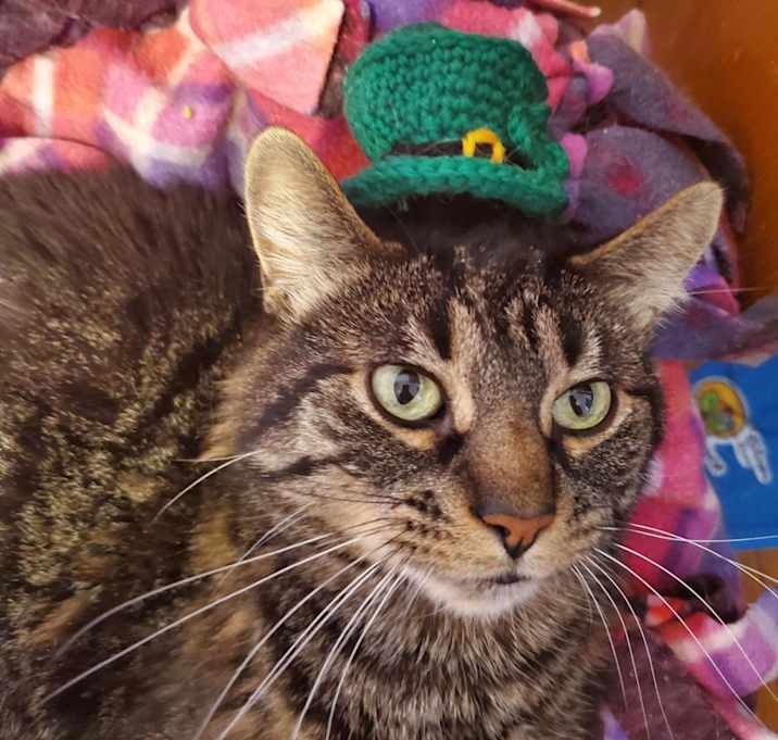 Photo of Walter