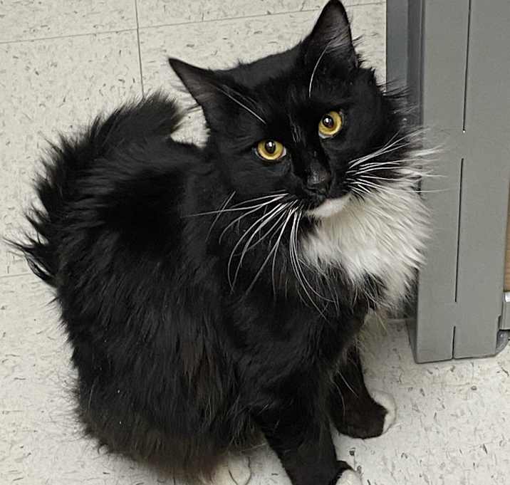 Photo of Hendrick