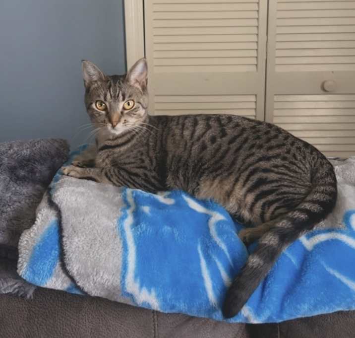 Photo of Ash