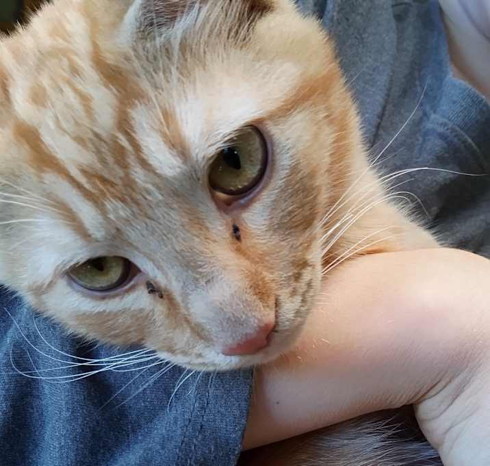 Photo of Unit