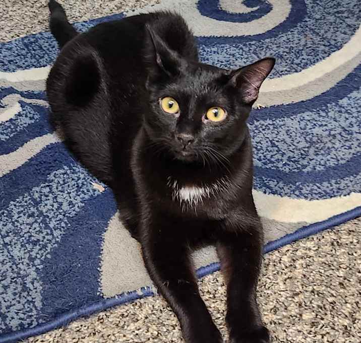 Photo of Franky