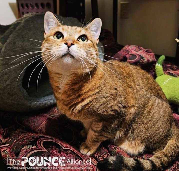 Photo of Punkin