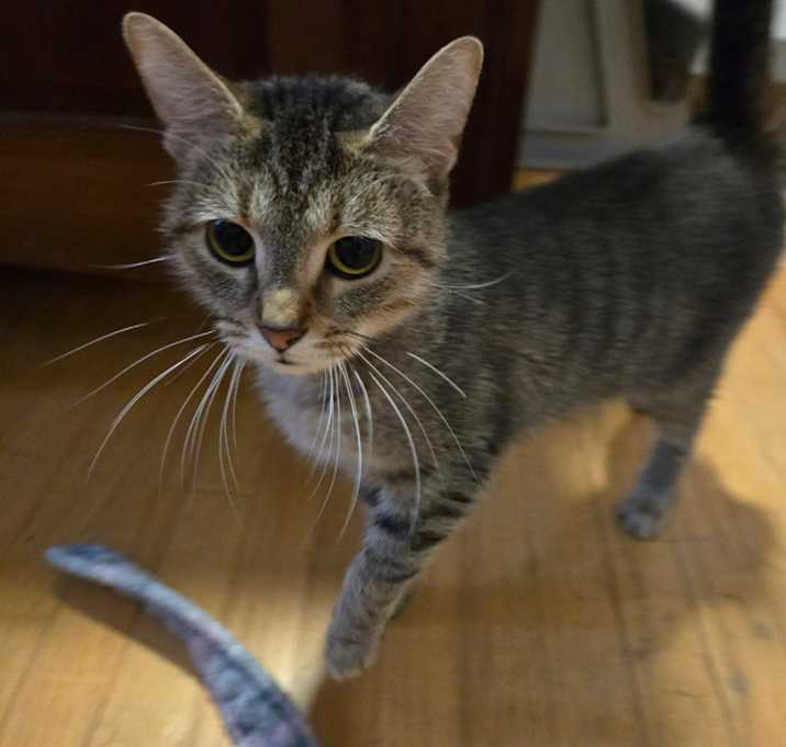 Photo of Xena
