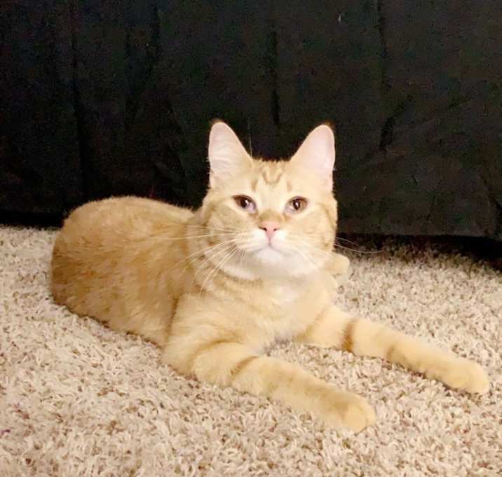 Photo of Teddy