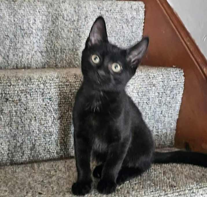 Photo of Todd