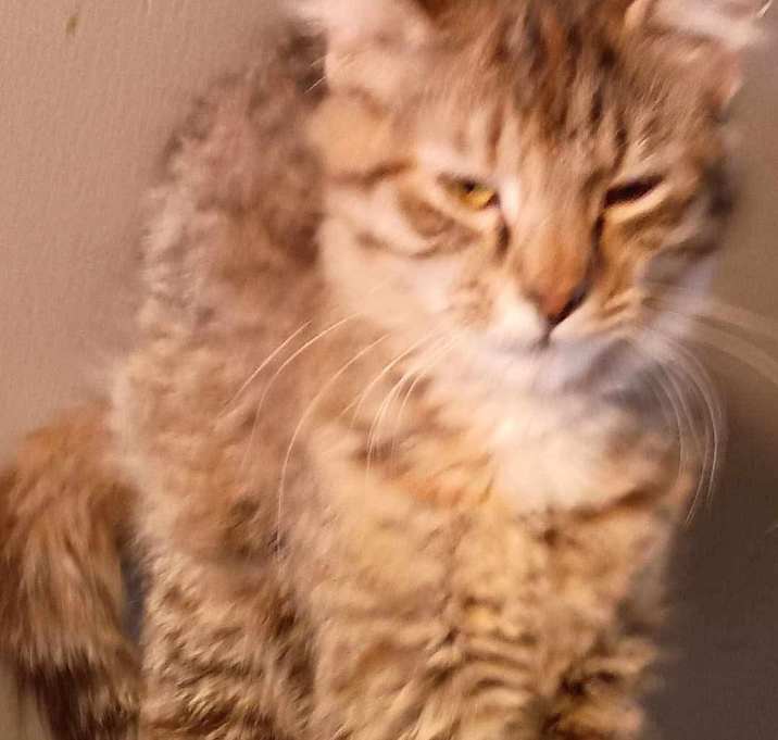 Photo of Matilda