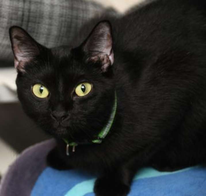 Photo of Lucy