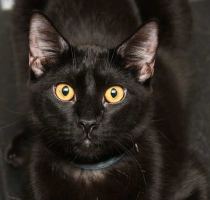 Photo of Lionel