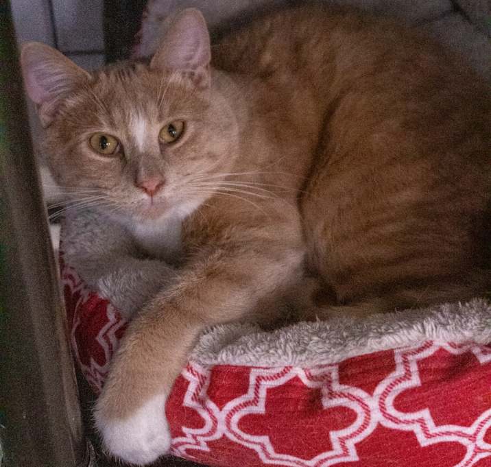 Photo of Percy