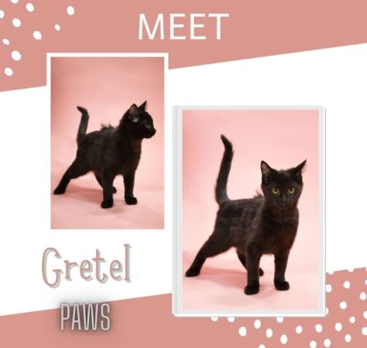 Photo of Gretel
