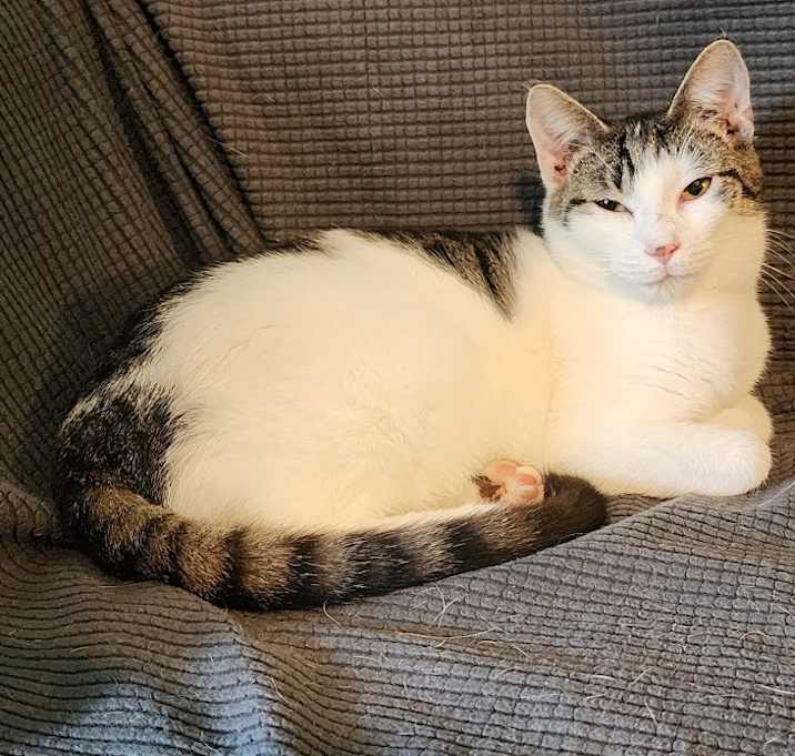 Photo of Ash