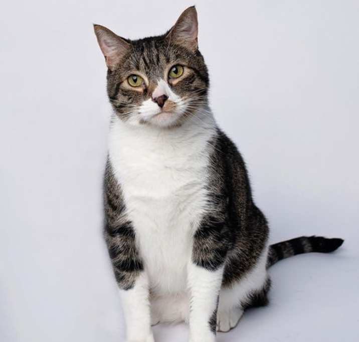 Photo of Tiggs
