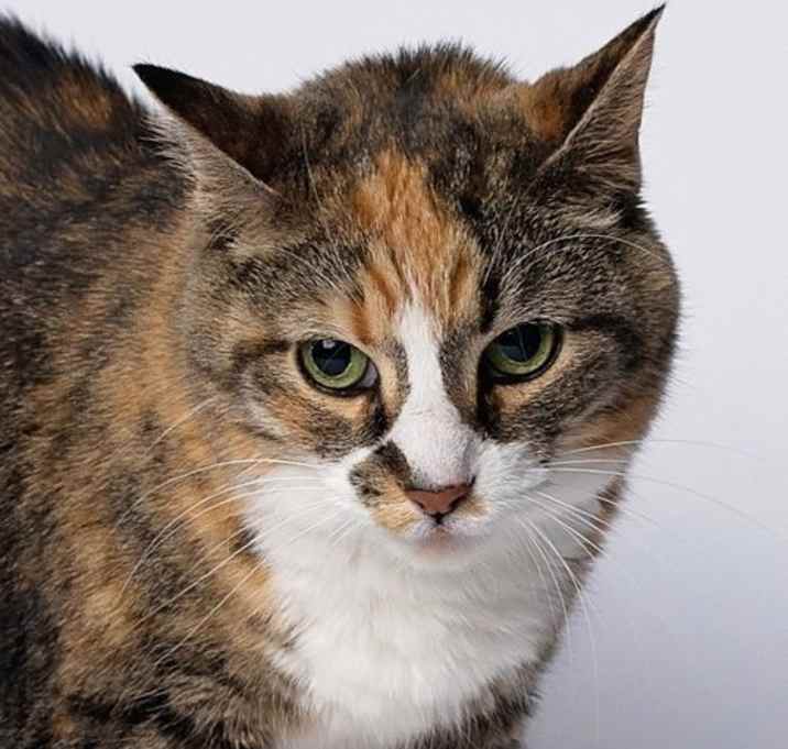 Photo of Peeka