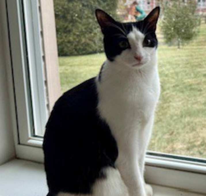 Photo of Sam