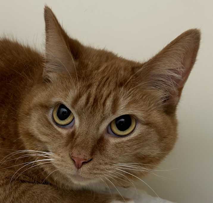 Photo of Meredith