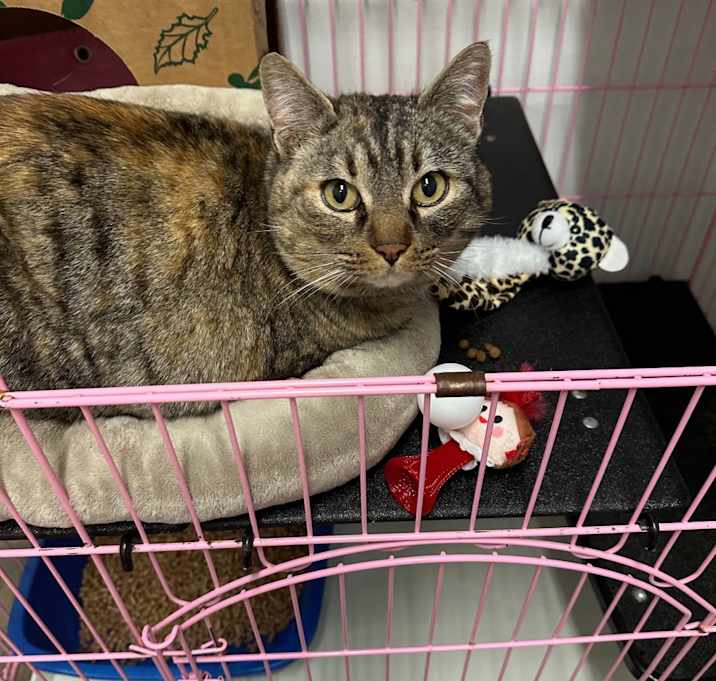 Photo of Fannie