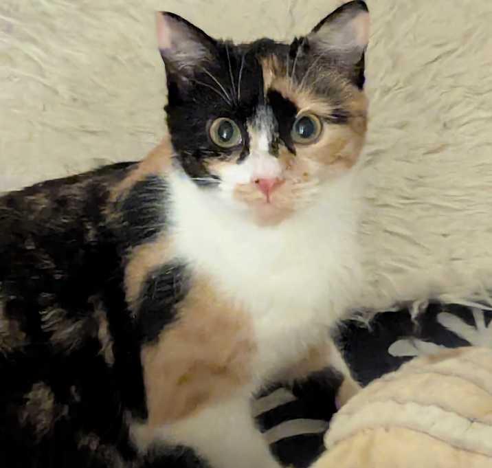 Photo of Dottie