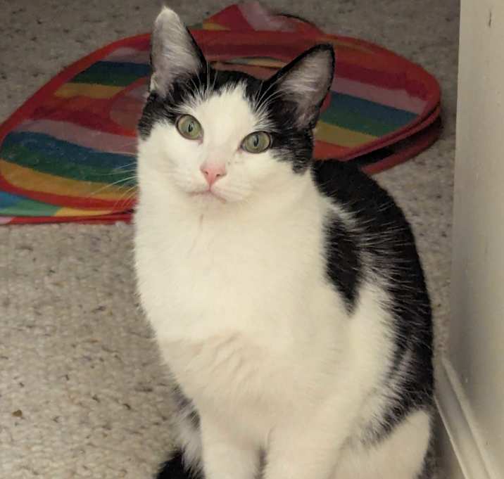 Photo of marla