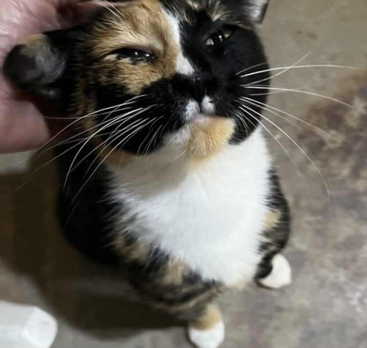 Photo of Precious