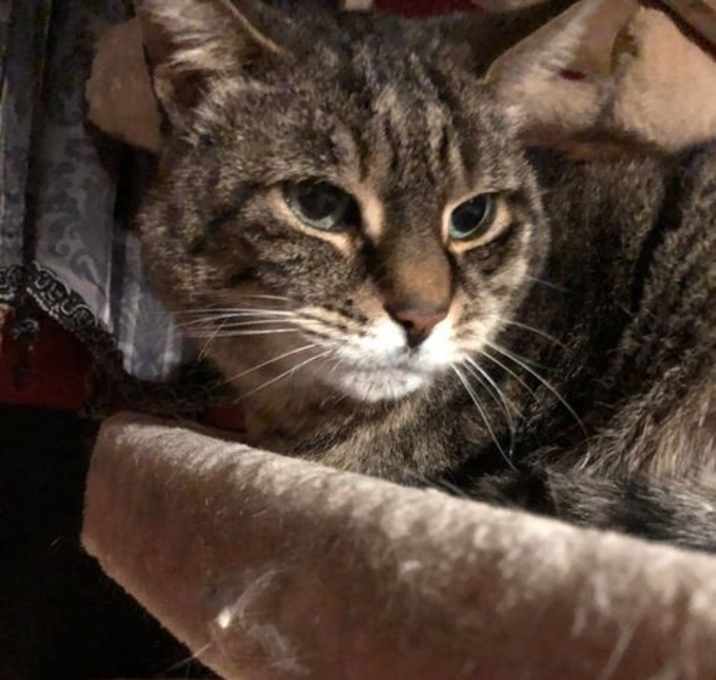 Photo of Baby