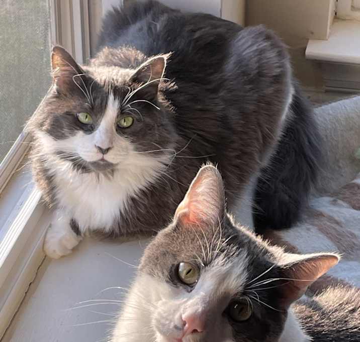 Photo of Lucy & Jude