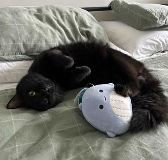 Photo of Azula