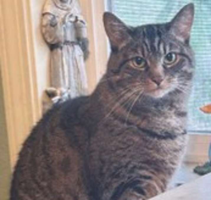 Photo of Zena