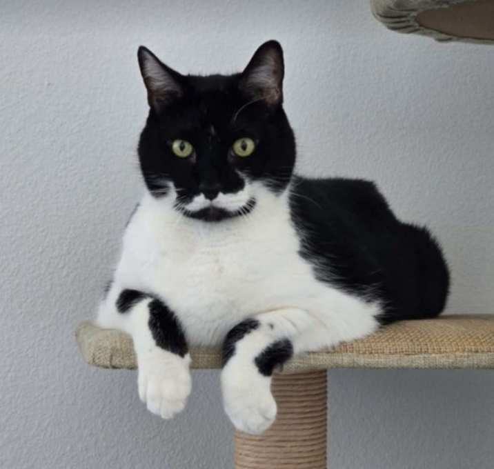 Photo of Frankie